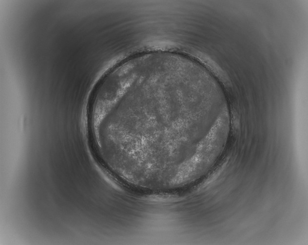 X0000112950630200909141408