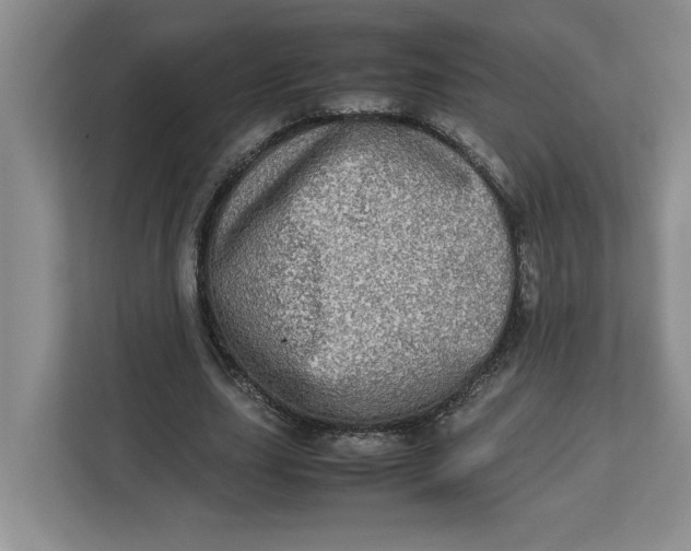 X0000112950631200909141408