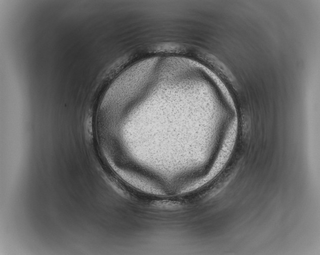 X0000112950633200909141408