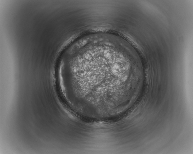 X0000112950634200909141408