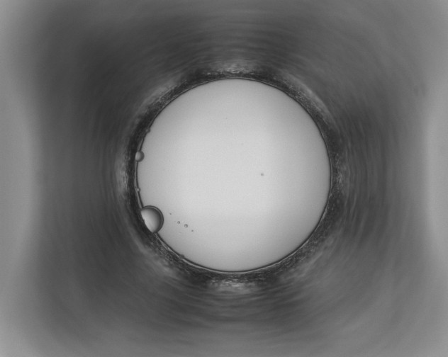 X0000112950635200909141408