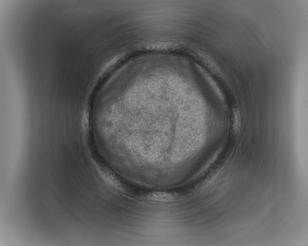 X0000112950636200909141408