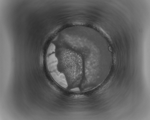 X0000112950637200909141408