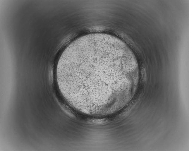 X0000112950638200909141408