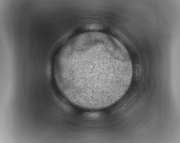 X0000112950639200909141408