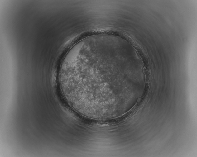 X0000112950640200909141408