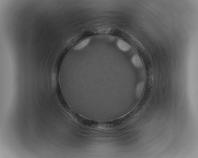 X0000112950641200909141408