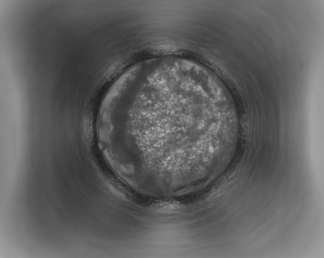 X0000112950642200909141408