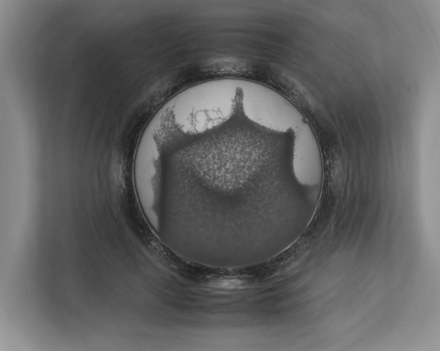 X0000112950643200909141408