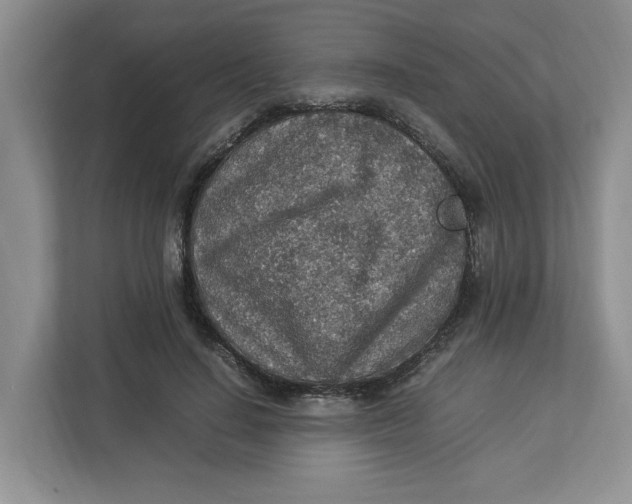 X0000112950644200909141408