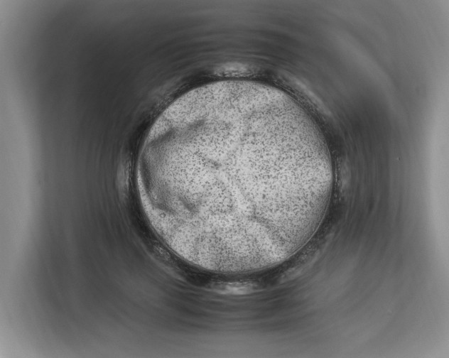 X0000112950645200909141409