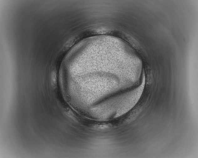 X0000112950646200909141409