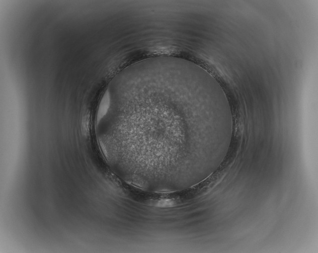 X0000112950647200909141409