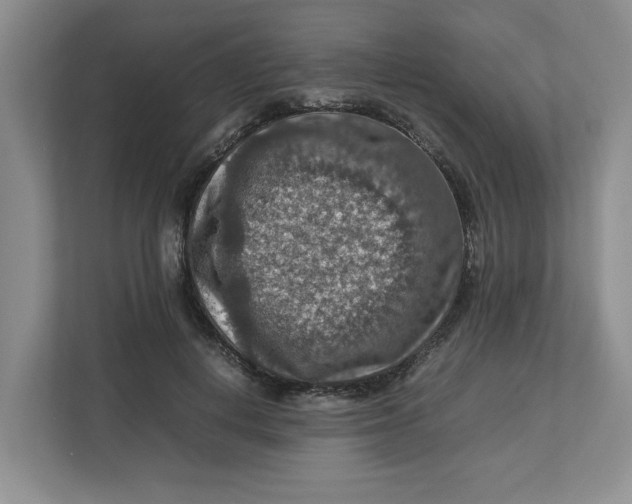 X0000112950648200909141409