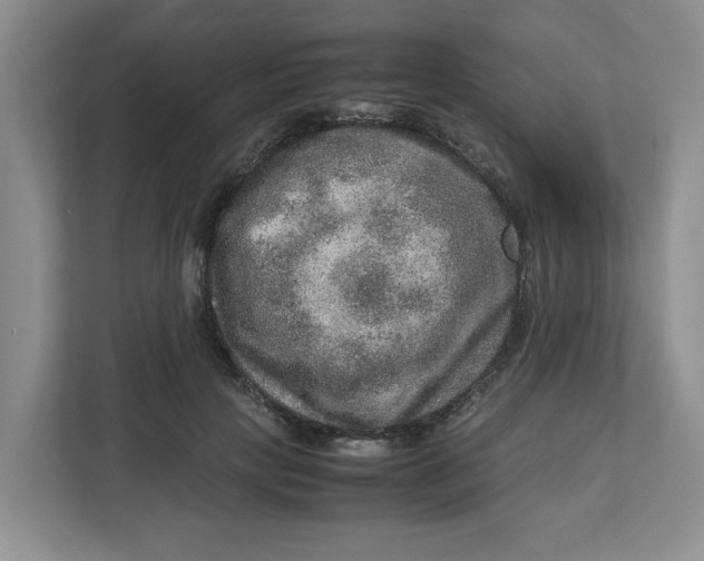 X0000112950649200909141409