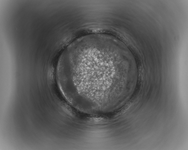 X0000112950650200909141409