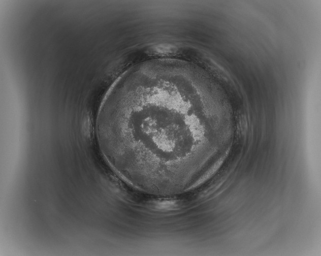 X0000112950651200909141409