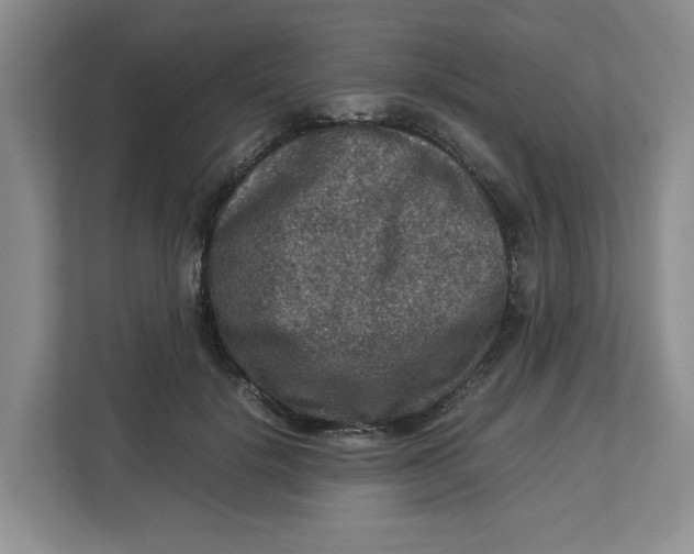 X0000112950652200909141409