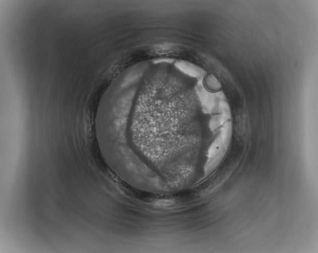 X0000112950653200909141409