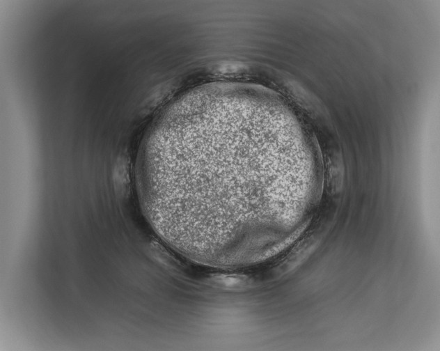 X0000112950654200909141409