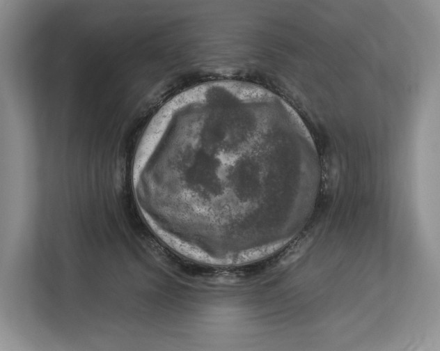 X0000112950656200909141409