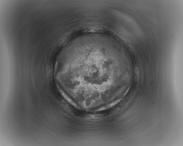 X0000112950657200909141409