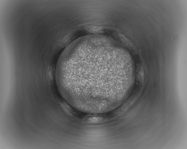 X0000112950658200909141409