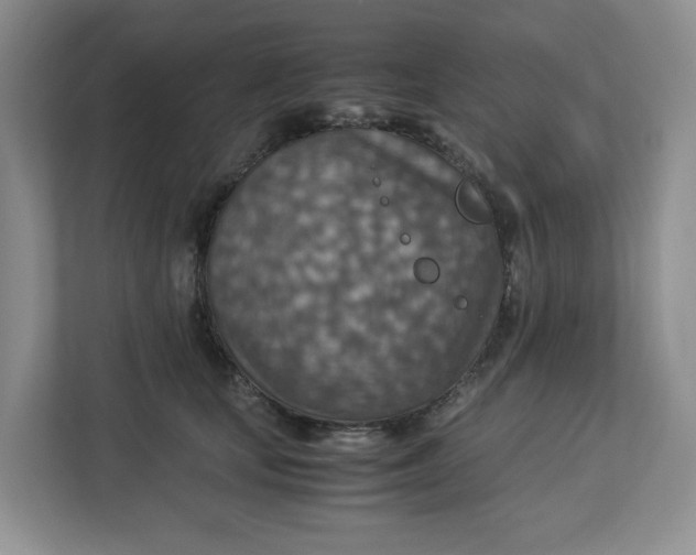 X0000112950659200909141409