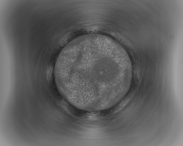 X0000112950660200909141409