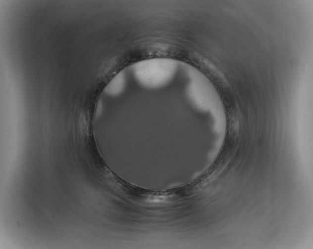 X0000112950661200909141409