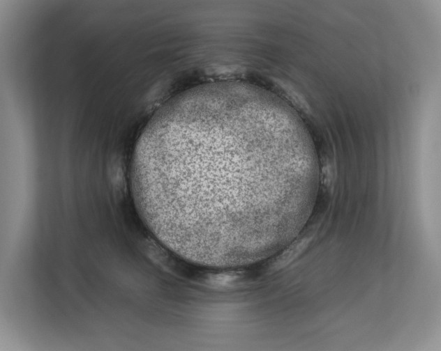 X0000112950662200909141409