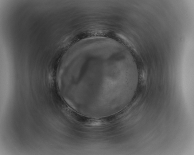 X0000112950663200909141409