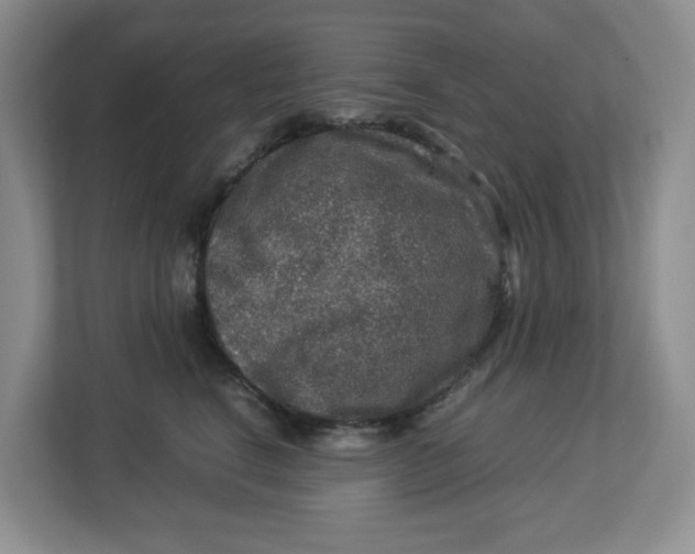 X0000112950664200909141409