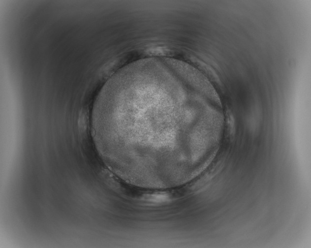 X0000112950665200909141409