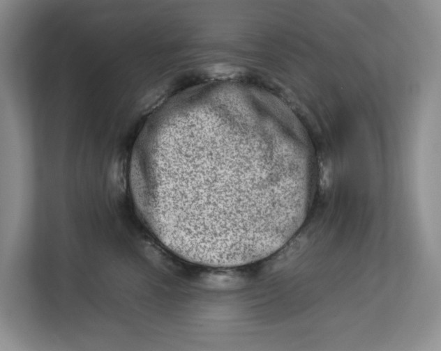 X0000112950666200909141409