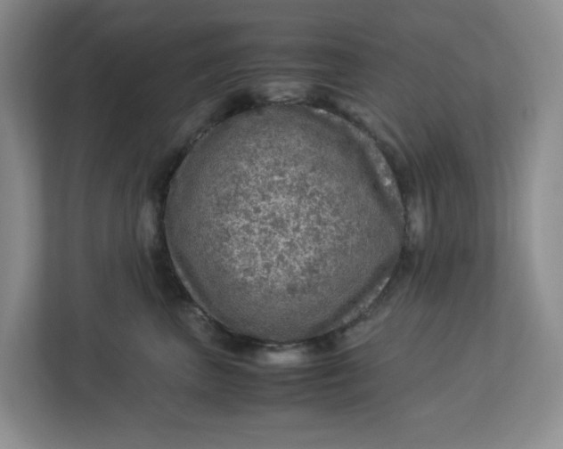 X0000112950667200909141409