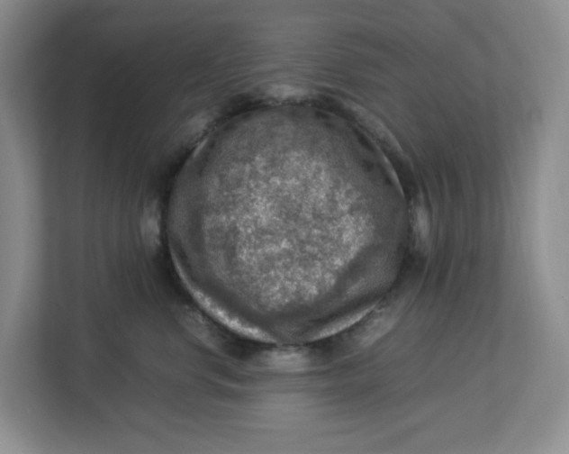 X0000112950668200909141409