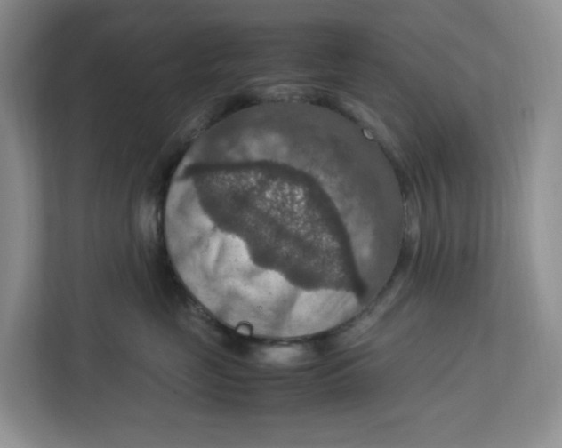 X0000112950669200909141409