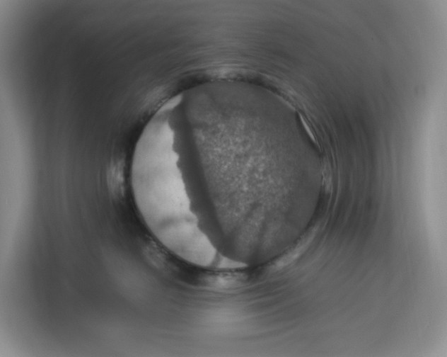 X0000112950670200909141409