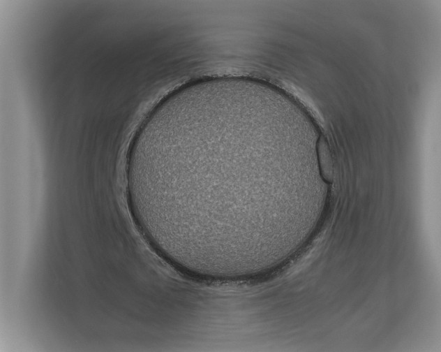 X0000112950673200909141408