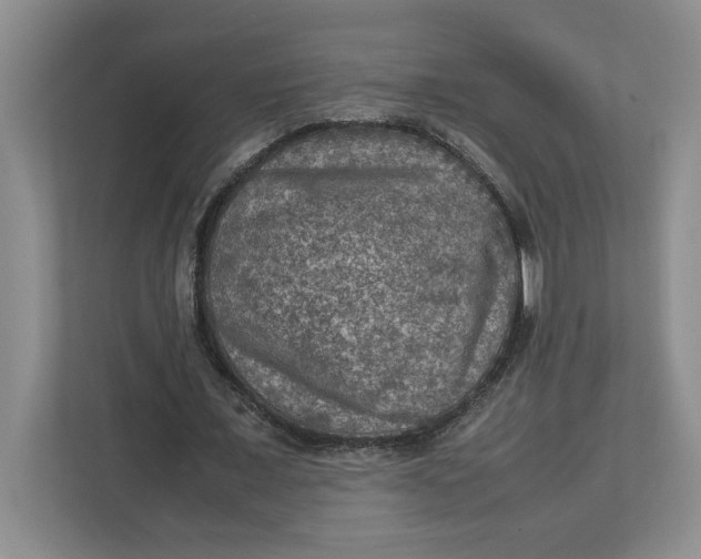 X0000112950675200909141408