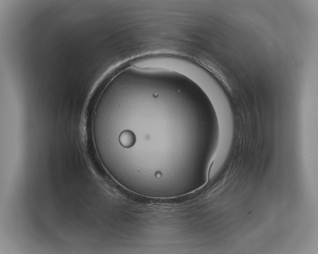 X0000112950676200909141408