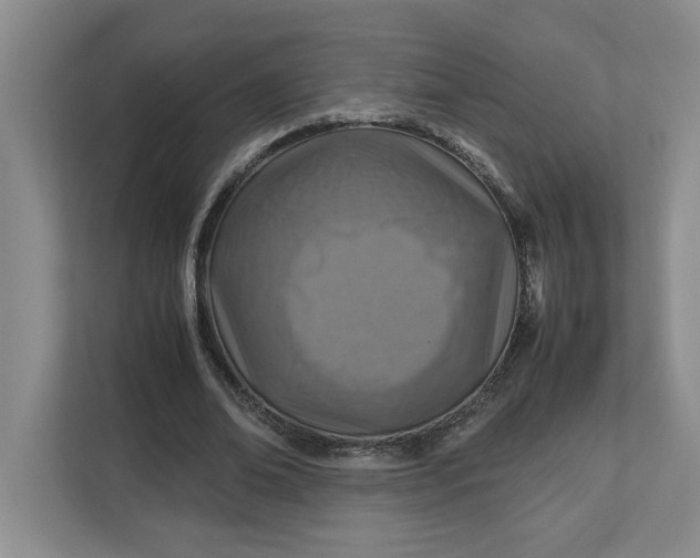 X0000112950678200909141408