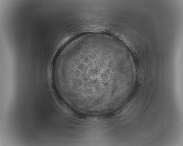 X0000112950679200909141408