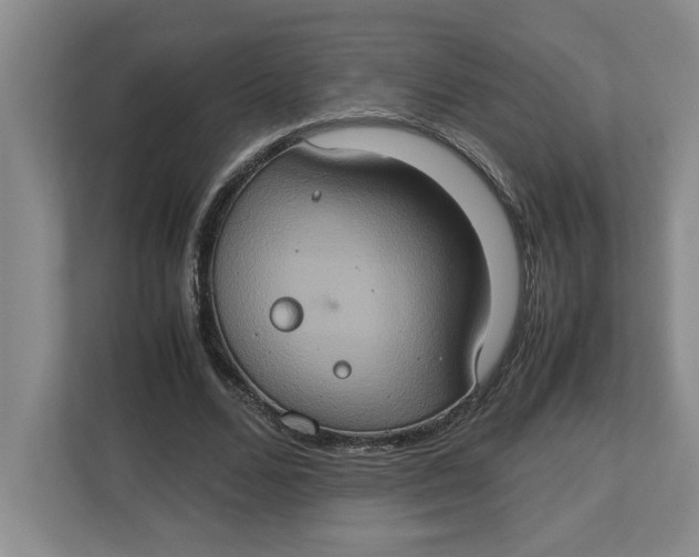 X0000112950680200909141408