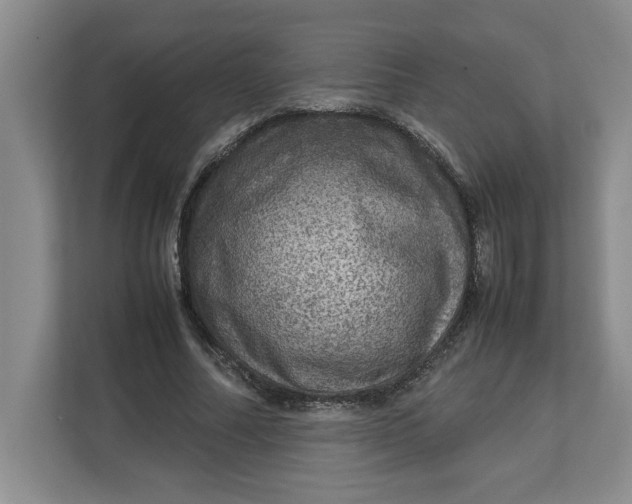 X0000112950682200909141408