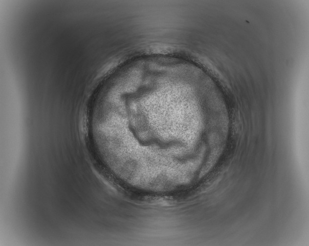 X0000112950683200909141408