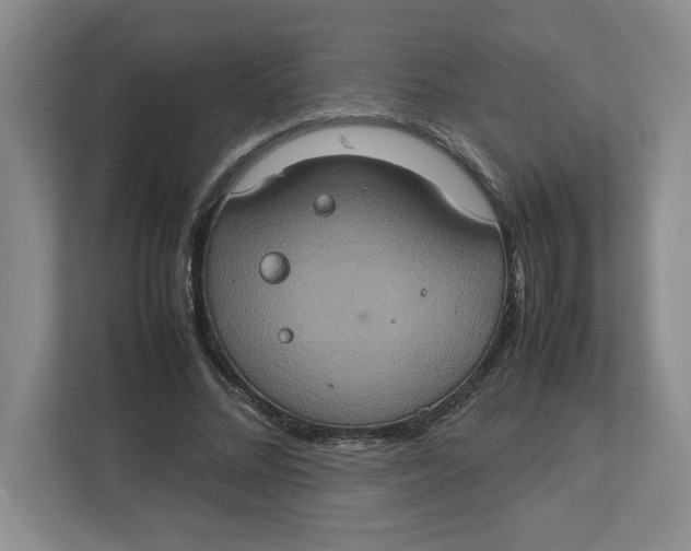 X0000112950684200909141408