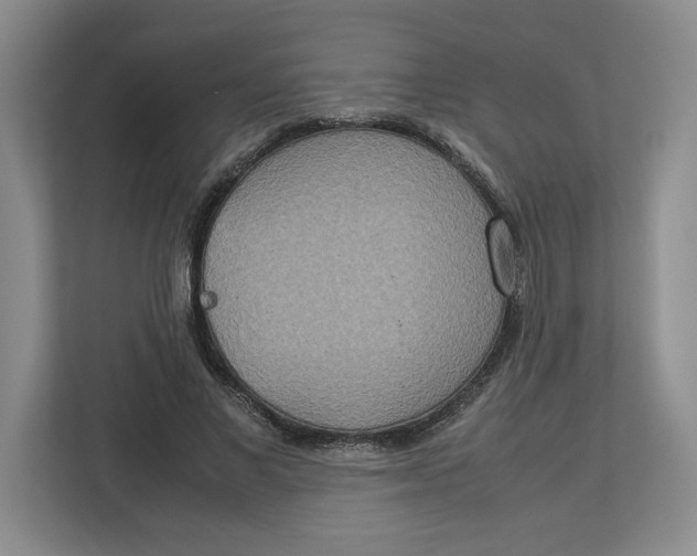 X0000112950685200909141408