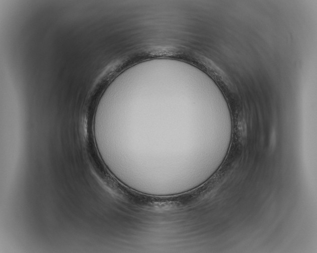 X0000112950686200909141408